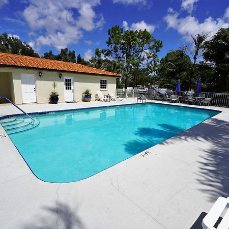 Florida Condos On Lake Tarpon Palm Harbor Eksteriør billede